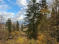 Недвижимость Участок для инвестиций Новый Блед: 6