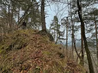 Недвижимость Участок для инвестиций Новый Блед: 8