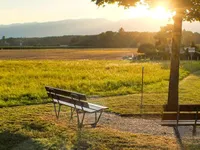 Недвижимость Villa 6.5 rooms: 1