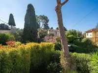 Недвижимость Villa Cannes Californie: 1