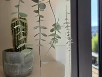 Недвижимость Villa Petit Juas: 19