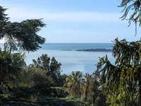 Недвижимость Villa Cannes Californie: 3