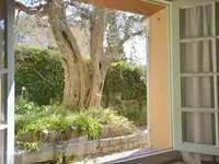 Недвижимость Villa Cannes: 11