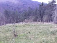 Недвижимость Дом, Доленье Лакнице: 4