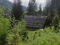 Недвижимость Дом, Довье: 15