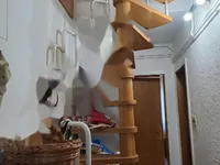 Недвижимость Квартира, 3-комнатная Трново: 2