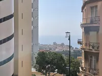 Недвижимость Apartment Monaco, Jardin Exotique: 1