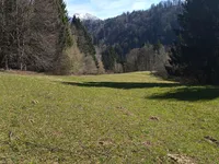 Недвижимость Земельный участок Нижнее Горье: 3