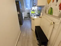 Недвижимость Квартира 1.5-комнатная Подутик: 12