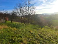 Недвижимость Усадьба, ферма Крайние холмы: 10