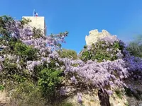 Недвижимость Villa Suquet Cannes: 10