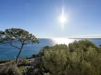 Недвижимость Villa Cannes: 3
