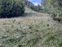 Недвижимость Дом на Святой Планине: 7