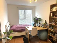 Недвижимость Ingram Close: 8