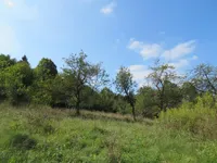 Недвижимость Усадьба Кметияново, Бреловица возле Любляны: 5