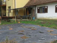 Недвижимость Усадьба , ферма Совиче.: 9