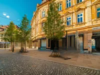 Недвижимость Коммерческое помещение в центре: 14