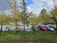 Недвижимость Офисное помещение Шишка: 7