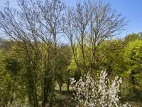 Недвижимость Townhouse 5 bedrooms for sale in Luxembourg-Centre ville: 7