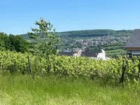 Недвижимость Detached house for sale in Schengen: 3