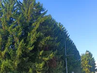 Недвижимость Дом, Центр Любляны: 17