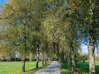 Недвижимость Дом, Центр Любляны: 18