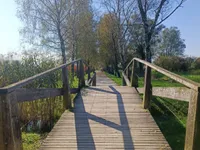 Недвижимость Дом, Центр Любляны: 19