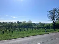 Недвижимость Apartment 2 bedrooms for sale in Stadtbredimus: 3