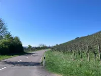 Недвижимость Apartment 2 bedrooms for sale in Stadtbredimus: 4