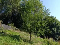 Недвижимость Дом, Новая Гора, 18Б: 2