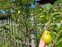 Недвижимость Дом, Новая Гора, 18Б: 6