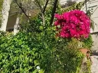 Недвижимость Villa Croix des Gardes: 20