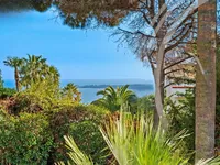 Недвижимость Villa Cannes: 33