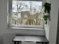 Недвижимость Квартира-студия на Ново Дравельска Гмайна: 5