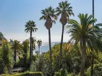 Недвижимость Villa Cannes: 3