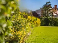 Недвижимость Villa Cannes: 22