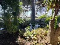 Недвижимость 'Villa Cannes Suquet': 6