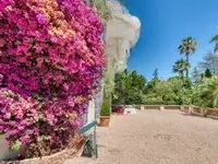Недвижимость Estate Cannes Californie: 3