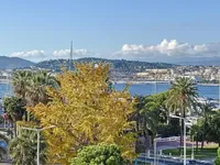 Недвижимость Villa Pointe Croisette: 4