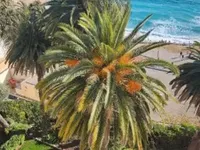 Недвижимость Villa Cannes: 5