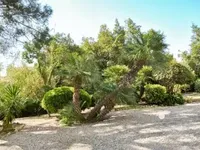 Недвижимость Villa Pointe Croisette: 8