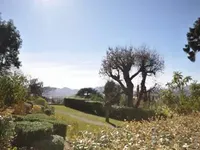 Недвижимость Villa Cannes Californie: 2