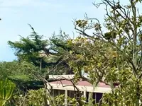 Недвижимость Villa Croix Des Gardes: 21