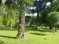 Недвижимость Property Cannes: 11