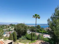 Недвижимость Villa Cannes: 12