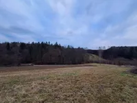 Недвижимость Усадьба, ферма Ковачевцы: 20