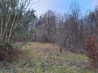 Недвижимость Усадьба, ферма Ковачевцы: 23