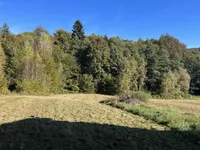 Недвижимость Усадьба, ферма Ковачевцы: 26