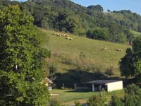 Недвижимость Усадьба Хозяйственное Поле Вуковски Дол: 8