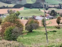 Недвижимость Усадьба Хозяйственное Поле Вуковски Дол: 11